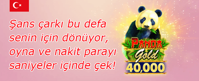 Popüler Slotlarda Ücretsiz Spin promotion